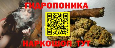 mdpv Новокубанск