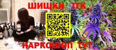 МДПВ Новозыбков