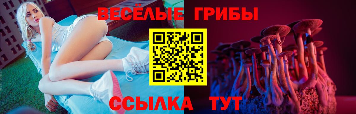 Галлюциногенные грибы Cubensis Пенза